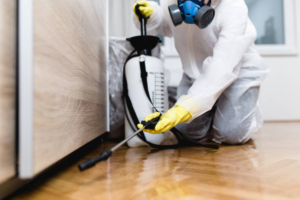 Best Flea Control Services  in Jennerstown, PA
