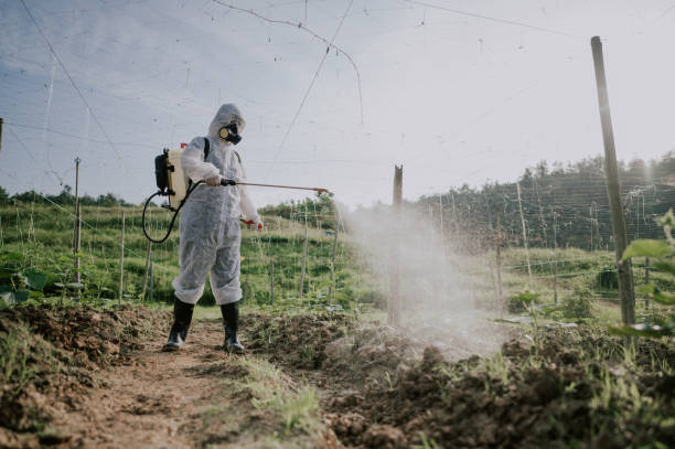 Best Ant Control Services  in Jennerstown, PA