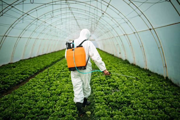 Best Pest Inspection Near Me  in Jennerstown, PA