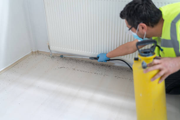 Best Residential Pest Control  in Jennerstown, PA