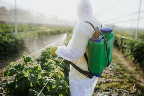 Reliable Jennerstown, PA Pest Control Solutions